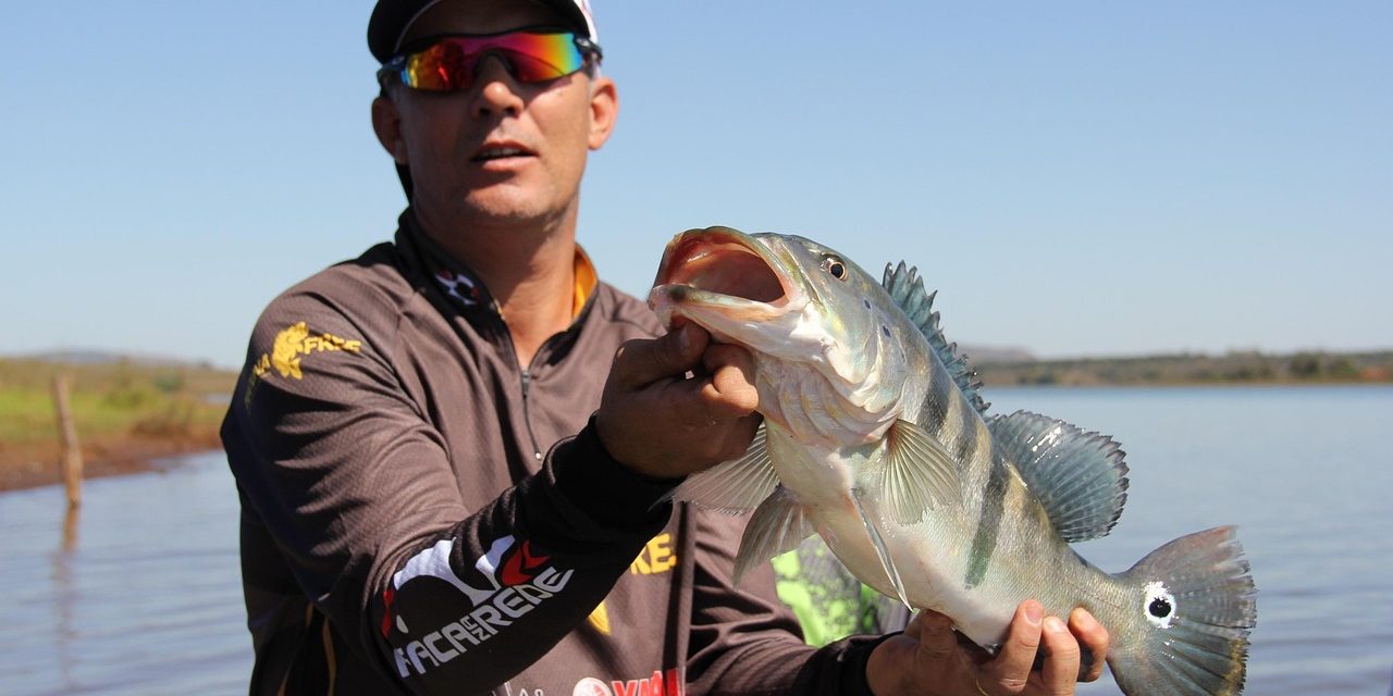 tucunaré, pesca, torneio, peixe grande, tucunaré, tucunaré, tucunaré, tucunaré, tucunaré, peixe grande