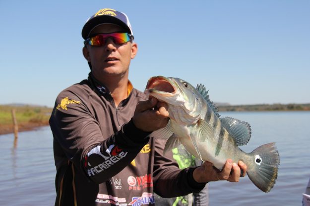 tucunaré, pesca, torneio, peixe grande, tucunaré, tucunaré, tucunaré, tucunaré, tucunaré, peixe grande