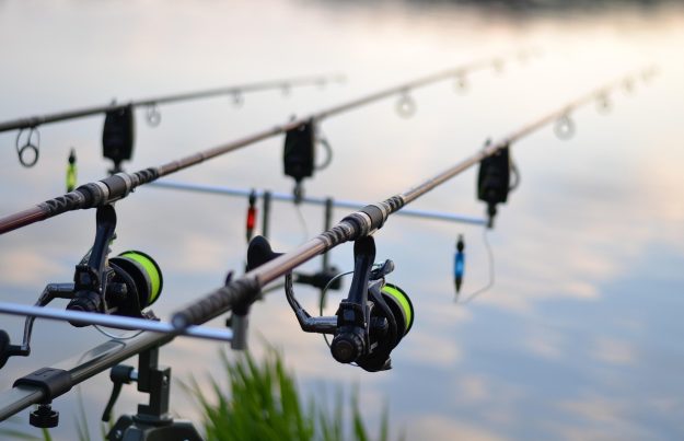 pescaria, peixe, lago, natureza, rybařina, carpa, relaxar, vara de, carretel, pesca