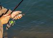 pescador, homem, humano, pessoa, dobradiça, vara de pesca, anzol de pesca, apanhado, peixe, pescaria, guarda, mão, presa, carreto de pesca, linha de pesca, fluxo, agua, natureza, tempo de lazer