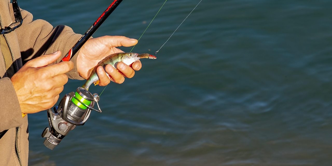 pescador, homem, humano, pessoa, dobradiça, vara de pesca, anzol de pesca, apanhado, peixe, pescaria, guarda, mão, presa, carreto de pesca, linha de pesca, fluxo, agua, natureza, tempo de lazer