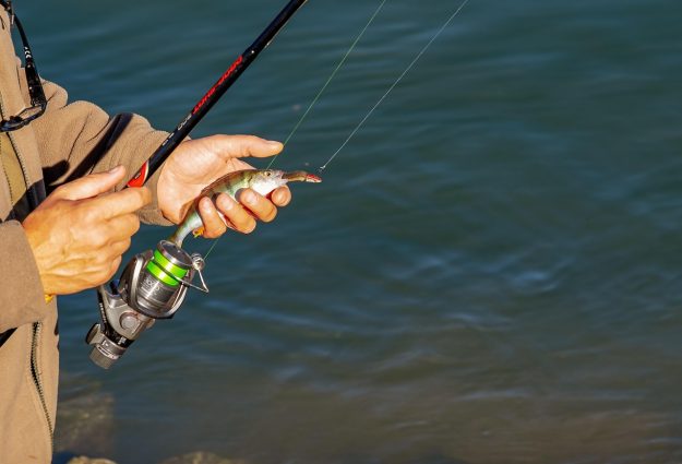 pescador, homem, humano, pessoa, dobradiça, vara de pesca, anzol de pesca, apanhado, peixe, pescaria, guarda, mão, presa, carreto de pesca, linha de pesca, fluxo, agua, natureza, tempo de lazer