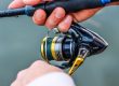 pescaria, cajado, lago, ao ar livre, homem, pescador, natureza, vara de pesca, carretel, cana de pesca