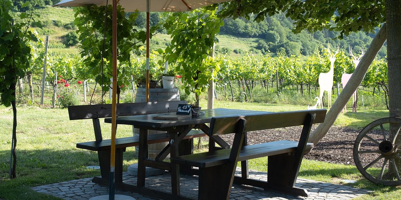 local, jardim de hóspedes, tabela, vazio, heuriger, banco, pousada, restaurante